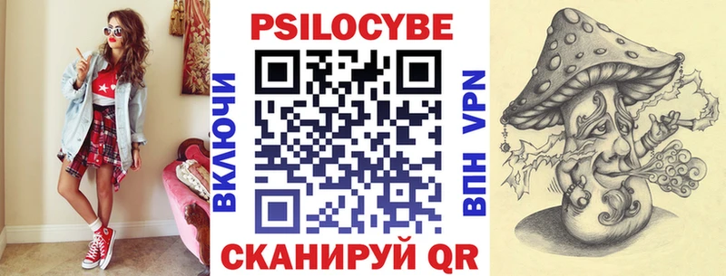 Псилоцибиновые грибы Psilocybe наркота Новая Усмань